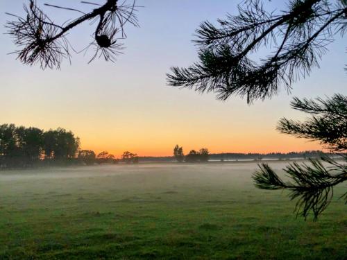 a misty field with the sun setting in the background at Żurawi Staw- siedlisko obok Augustowa in Augustów
