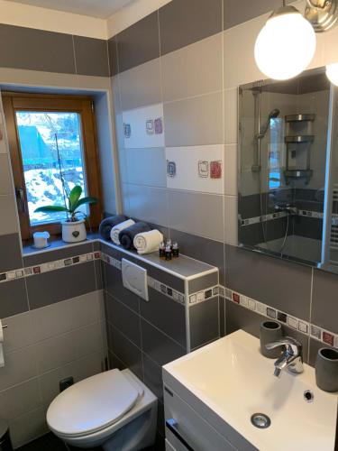 スヴォボダ・ナト・ウーポウにあるVila Ajaのバスルーム(トイレ、洗面台、鏡付)