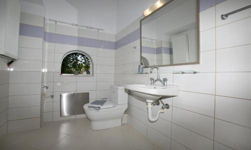 uma casa de banho com um WC, um lavatório e um espelho. em BABI'S VILLA - Garden apartment em Lixouri