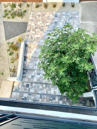 Κήπος έξω από το AZUR Apartments Alsóörs