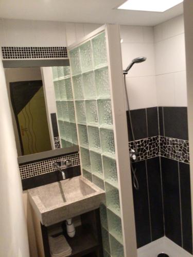 une salle de bain avec un lavabo et une douche dans l'établissement La cabine le Courlis, au Tréport