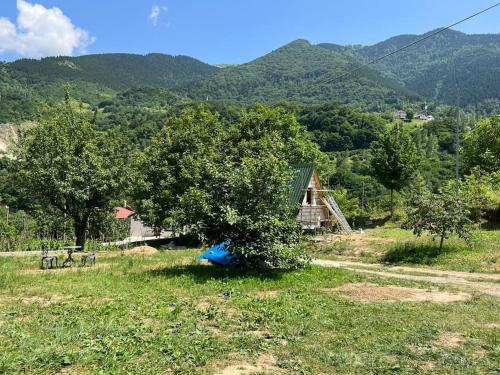 a small house in a field with a tree at Machka Resort in Trabzon