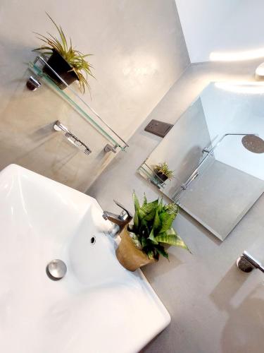 a bathroom with a sink and potted plants on the floor at Sky White Villa in Galle