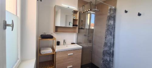 a small bathroom with a sink and a shower at La Campagne à la ville dans pavillon avec jardin Clos et privatif in Héricourt