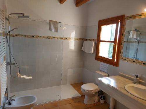 a bathroom with a shower and a toilet and a sink at Sa Taulada in Santa Margalida