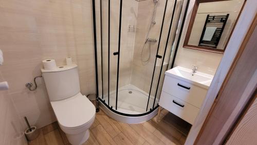 a bathroom with a shower and a toilet and a sink at Apartament na Kasztanowej in Piotrowice