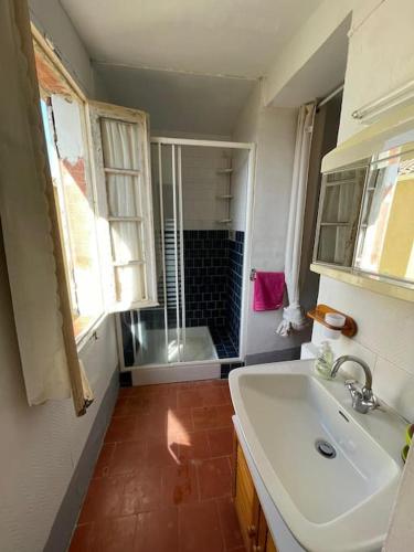 une salle de bain avec un lavabo et une douche dans l'établissement Location vacances en Corse, à Oletta