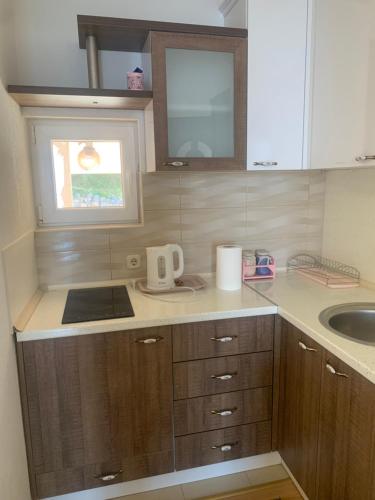 Dapur atau dapur kecil di Ohrid Sunset Apartments Velestovo