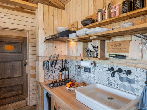 a kitchen with a sink and a stove and wooden walls at Le chalet de pépère in Stavelot