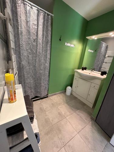 baño verde con ducha y lavamanos en Gîte la grande racinaie en Cré-sur-Loir