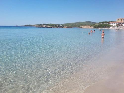 Paesaggio naturale nelle vicinanze dell'appartamento