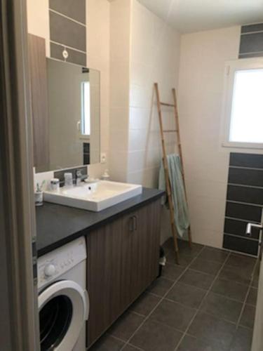 une salle de bain avec une machine à laver et un lavabo dans l'établissement Maison au cœur de la nature, à Saint-Nazaire-le-Désert