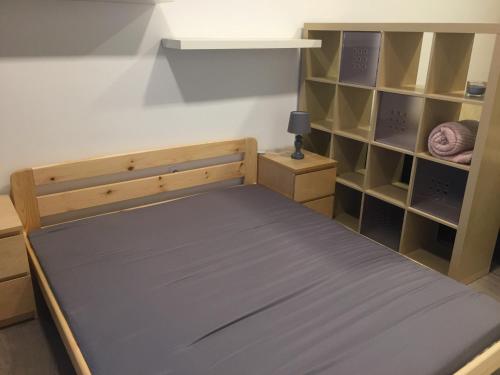 a bedroom with a bed and a book shelf at City Center apartment in Pécs