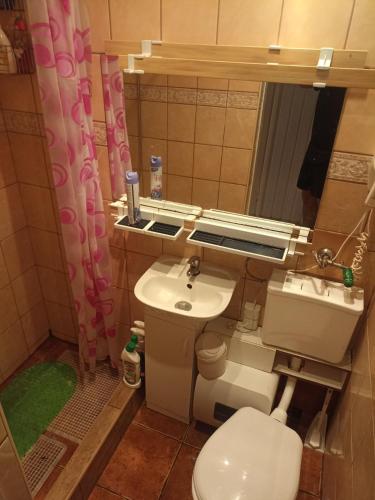 a bathroom with a sink and a toilet and a mirror at Domek Letniskowy nad zaporą Rożnowską in Rożnów