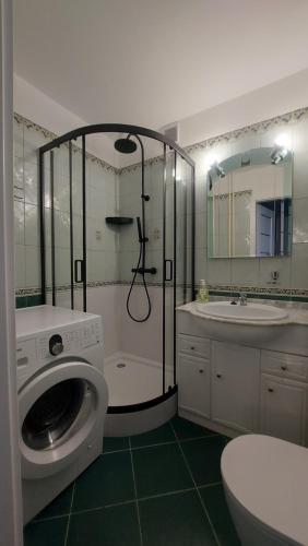 uma casa de banho com um chuveiro e uma máquina de lavar roupa em Apartament SEASIDE Gospody 5a em Gdansk