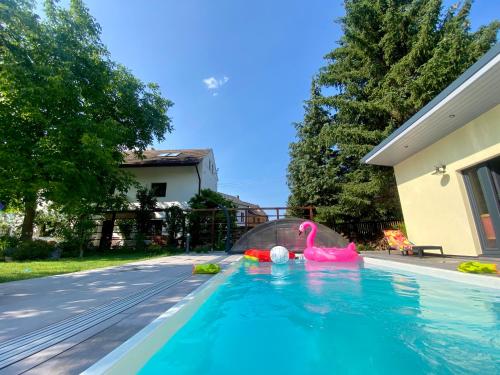 un cisne rosa en el agua en una piscina en Pokoje v chalupě pod Milešovkou en Velemín