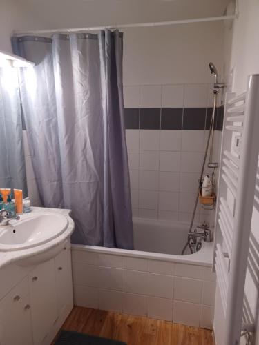 une salle de bain avec une baignoire, un lavabo et une douche dans l'établissement Vaste appartement à la foux d'allos, Mercantour, à Allos