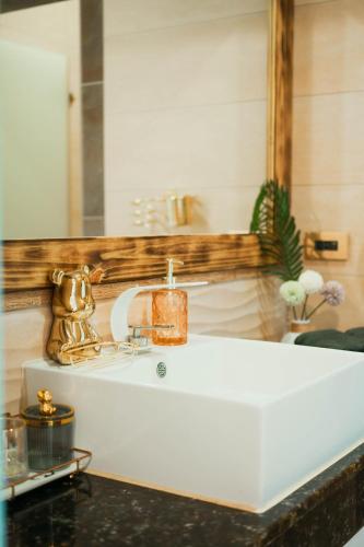 a bathroom with a white sink and a mirror at 墾丁曜星海-海景雙人包棟villa in Hengchun