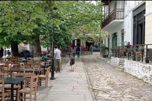 un chien marchant sur un trottoir avec des personnes, des tables et des chaises dans l'établissement Αρχοντικό Θεανώ 1 Archontiko Theano 1, à Agios Lavrentios