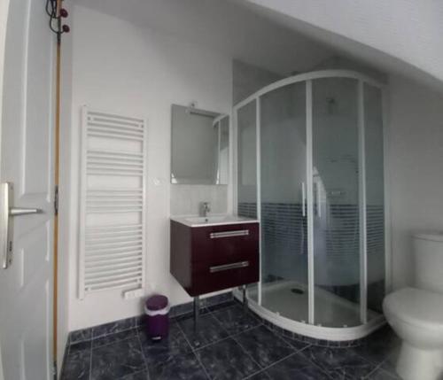 a bathroom with a shower and a sink and a toilet at Les Lys in Cricquebœuf