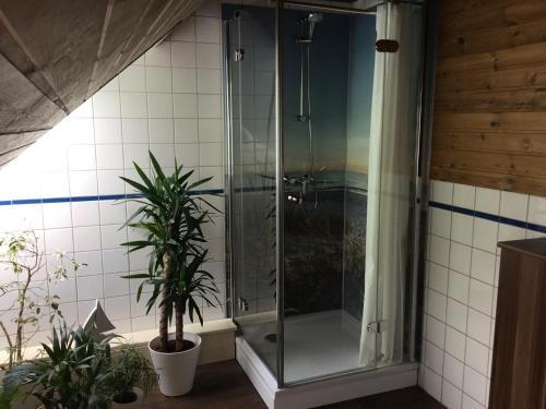 Una ducha de cristal en un baño con plantas. en Hof Landleben, en Dörpstedt