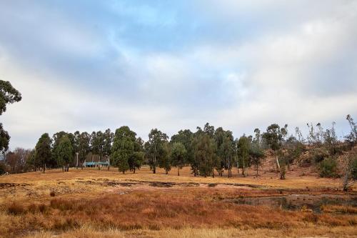 a field with trees and a house in the distance at Bergview Farm Cottages in Underberg
