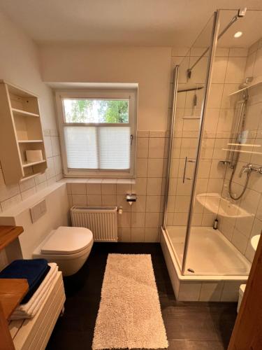 a bathroom with a toilet and a shower and a sink at Ferienwohnung Gänseweg in Graal-Müritz