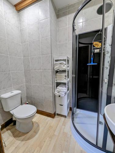 une salle de bain avec toilettes, douche et lavabo dans l'établissement Les Gites de la Cabache, à Montaigu-les-Bois