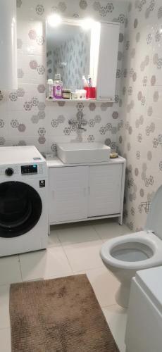 a bathroom with a toilet and a sink and a washing machine at Iancina House & Art Gallery in Salcioara