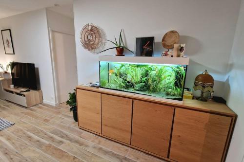 ein Aquarium auf einem hölzernen Unterhaltungszentrum in der Unterkunft Bel appartement avec jardin in Aix-en-Provence