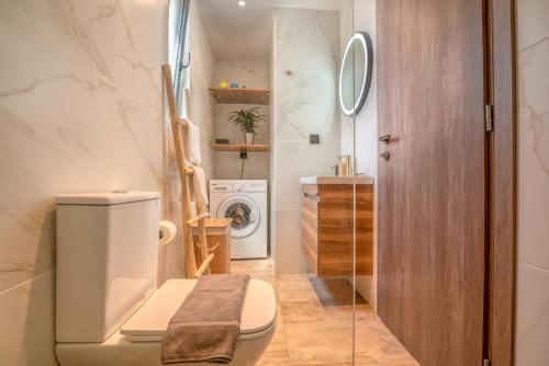 bagno con servizi igienici e lavatrice. di Cavos Luxury Apartments a Kíssamos