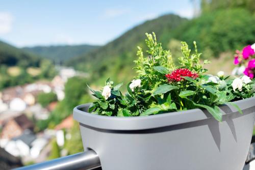 a white planter filled with flowers on a balcony at Haus Erika Ferienwohnung 1 in Bad Teinach-Zavelstein