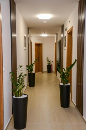 Φωτογραφία από το άλμπουμ του Mini Hotel RiverLux Apartments σε Bačka Palanka