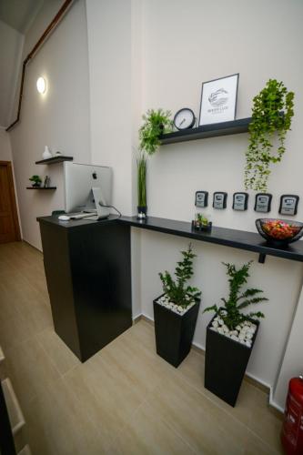 Η κουζίνα ή μικρή κουζίνα στο Mini Hotel RiverLux Apartments
