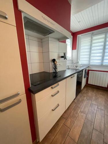 Η κουζίνα ή μικρή κουζίνα στο Appartement aux portes de Genève