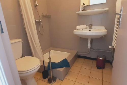 uma casa de banho com um WC e um lavatório em Les Grizzlies-le Mauzac em Limoux