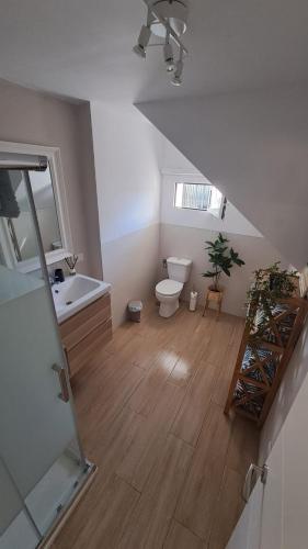a bathroom with a toilet and a sink and a mirror at El Madroño de la Encantada in Córdoba