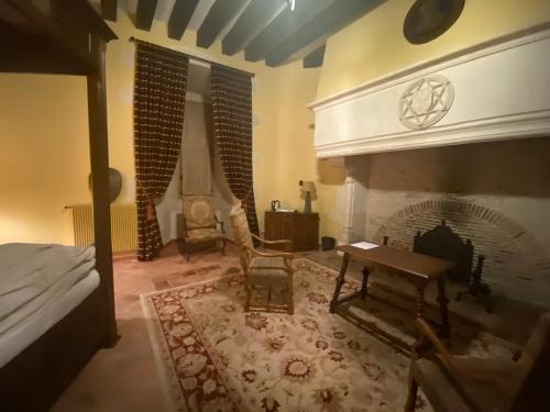 a living room with a fireplace and a bed at Château de Bouesse en Berry in Bouesse