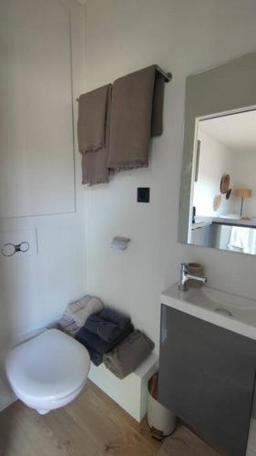 une salle de bain avec toilettes, lavabo et miroir dans l'établissement Mini maison au coeur de la Loire, à Amboise