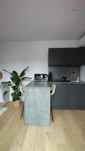 une cuisine avec une table et des chaises dans une pièce dans l'établissement Mini maison au coeur de la Loire, à Amboise