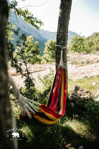 a hammock hanging from a tree in a field at Ursa Camp in Gornje Lipovo
