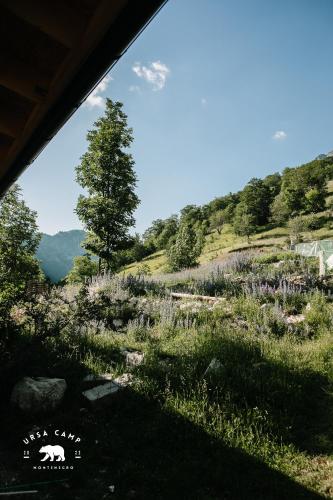 a field of tall grass with a tree on a hill at Ursa Camp in Gornje Lipovo