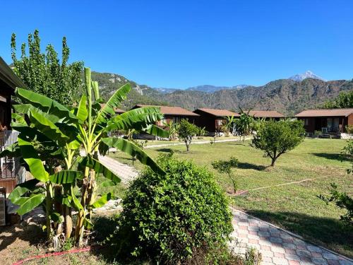 a view of a resort with mountains in the background at Alicra Hotel Çıralı in Cıralı