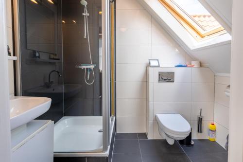 a bathroom with a shower and a toilet and a sink at Bed & Breakfast Huys aan zee in Domburg