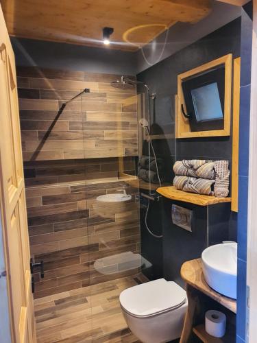 een badkamer met een toilet, een wastafel en een tv bij La hambare in Colibiţa