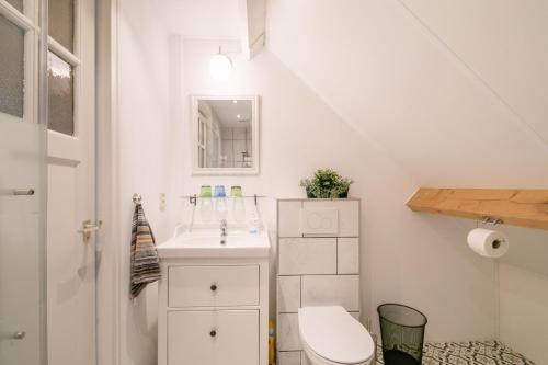 a small bathroom with a sink and a toilet at Idyllic Farmhouse in Landsmeer