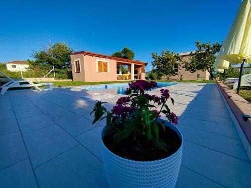 a vase with purple flowers sitting on a patio at Villa Hirundinidae in Gornji Muć