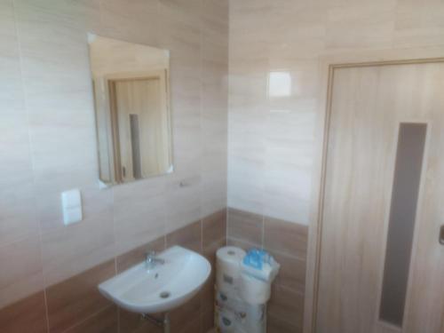a bathroom with a sink and a toilet and a mirror at Ubytování Stračenská in Štětí