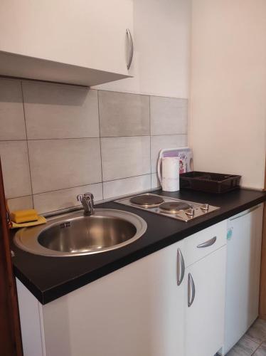 a kitchen with a sink and a counter top at Apartments Kata in Neum