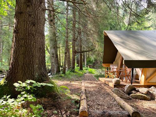 a cabin in the woods with a tree at Glamping Tent Water Village Rogla in Oplotnica